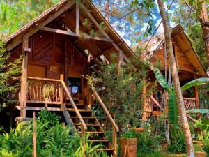 thiết kế homestay nhà vườn