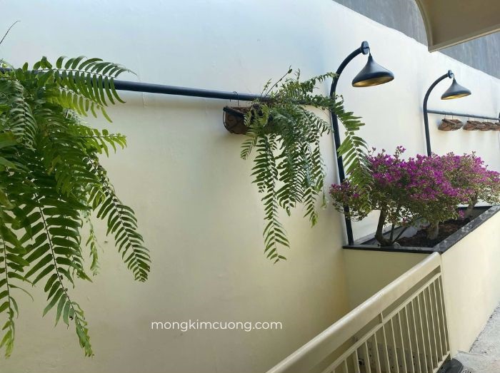 Gạo House - Buôn Ma Thuột