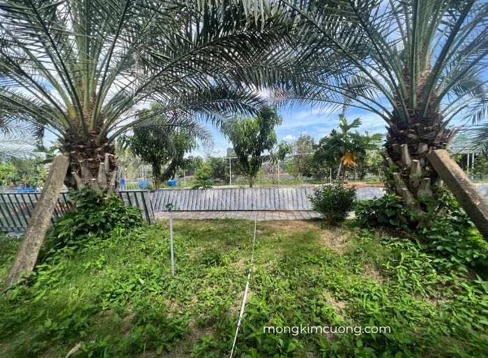 nhà anh Vĩ Bình Thuận 