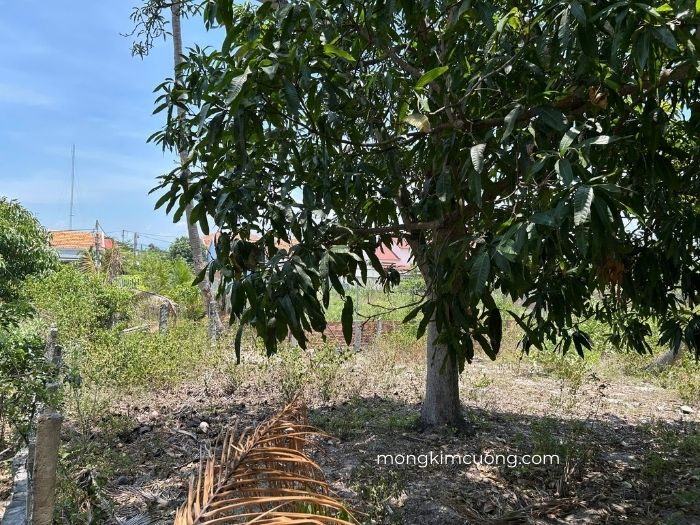 module nhà bê tông đúc sẵn lắp ghép 