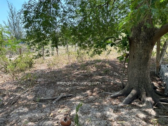 module nhà bê tông đúc sẵn lắp ghép 