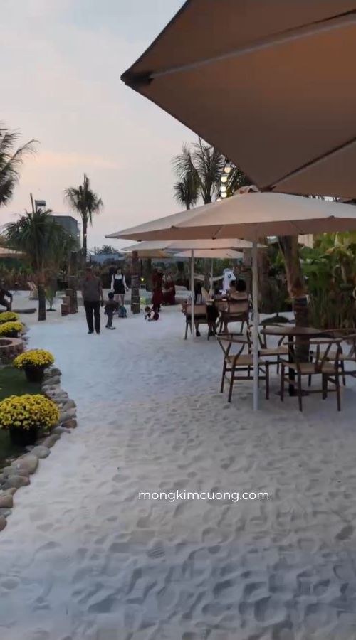 dự án cà phê Côn Đảo module V01