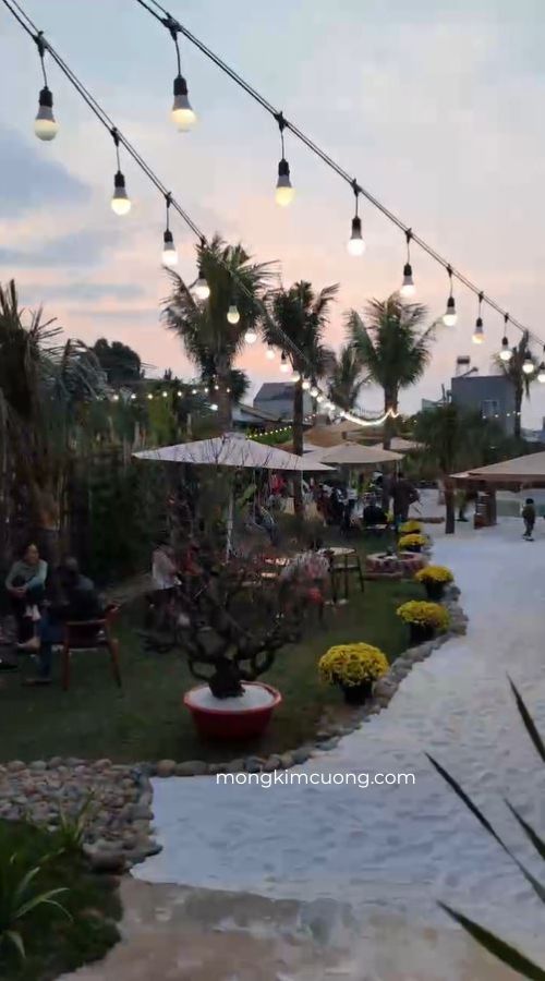 dự án cà phê Côn Đảo module V01