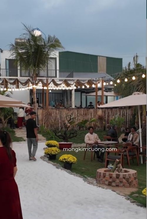 dự án cà phê Côn Đảo module V01