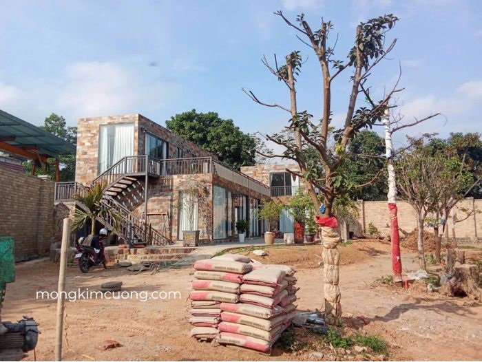 module bê tông đúc V05 